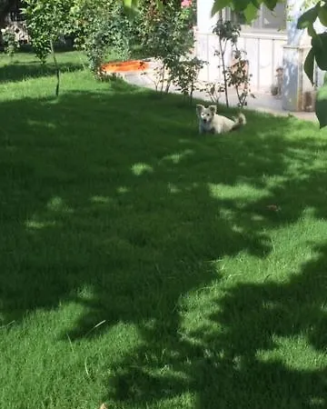 Suleyman Sargin Sitesi Kusadası