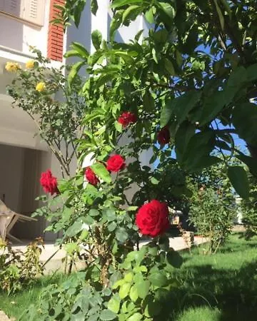 Gasthof Suleyman Sargin Sitesi